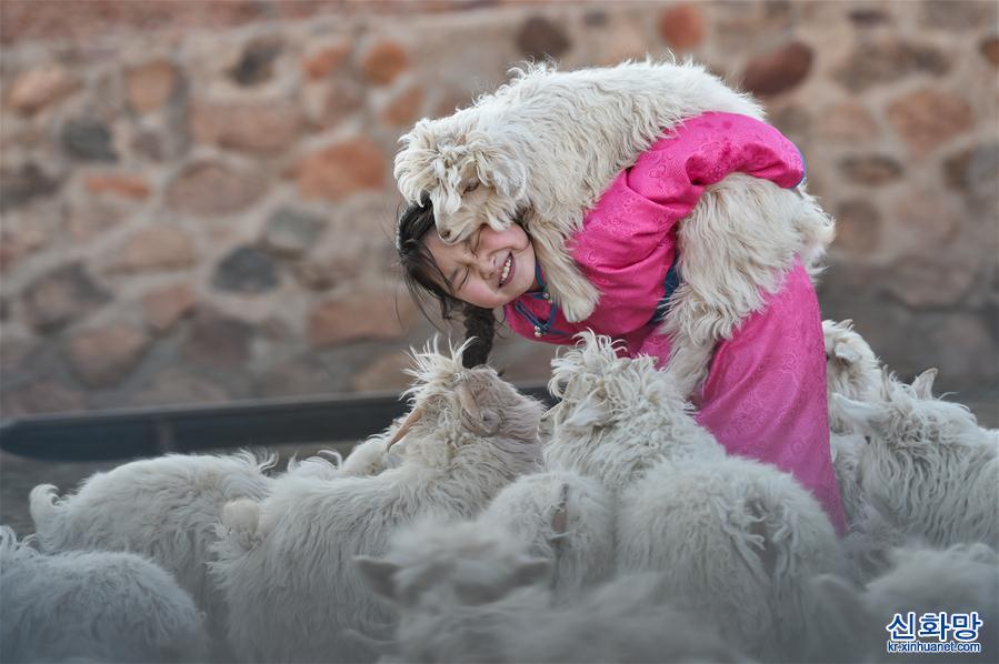 （图片故事）（14）戈壁深处上网课
