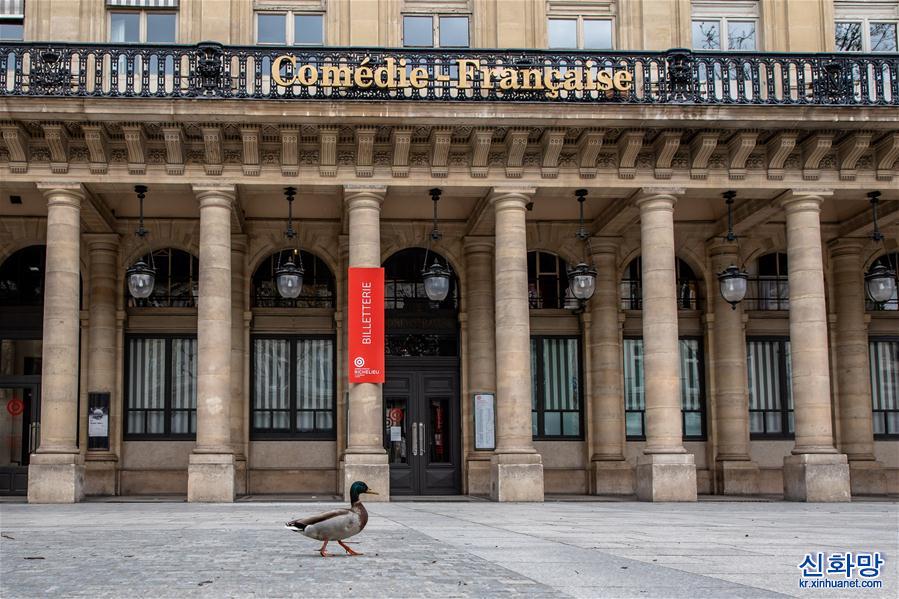 （国际疫情&middot;XHDW）（6）空城巴黎:小鸟上街 鸭子当道