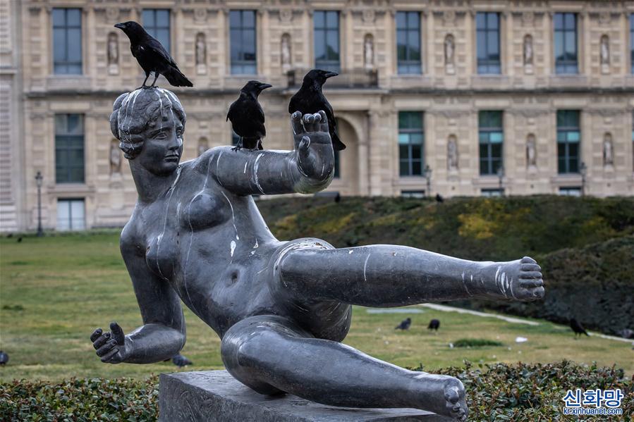 （国际疫情&middot;XHDW）（8）空城巴黎:小鸟上街 鸭子当道