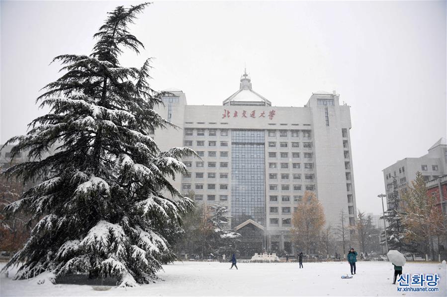 （环境）（18）北京降雪