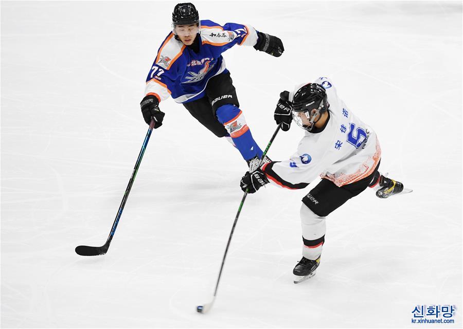 （走进冬奥）（1）“相约北京”冰球国内测试活动决赛：北京极狐队夺冠