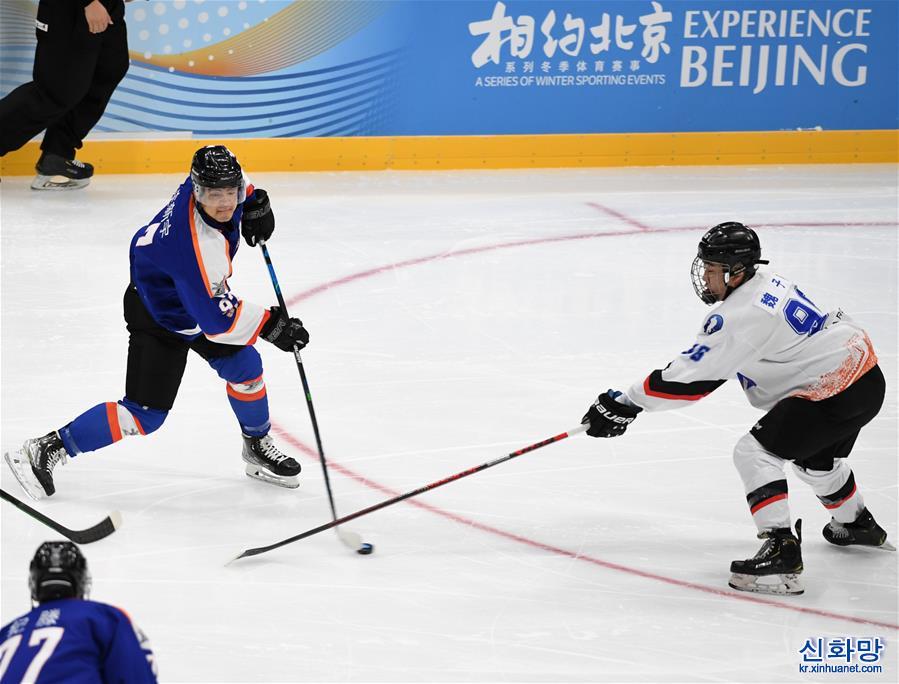 （走进冬奥）（3）“相约北京”冰球国内测试活动决赛：北京极狐队夺冠