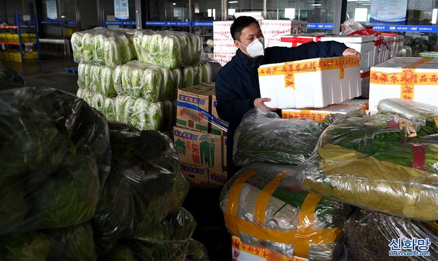 （新华全媒+）（1）西安：精益求精保障封控区蔬菜供给安全