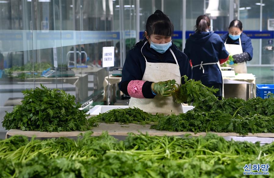 （新华全媒+）（4）西安：精益求精保障封控区蔬菜供给安全