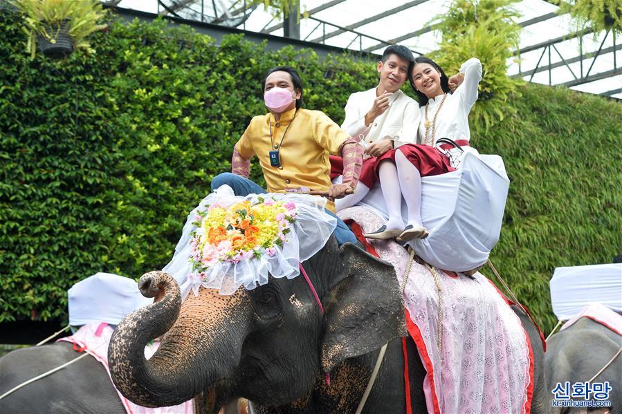 （国际）（5）泰国芭提雅：象背上的婚礼