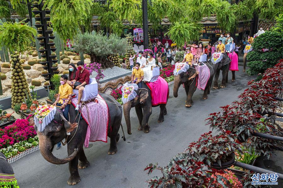 （国际）（2）泰国芭提雅：象背上的婚礼