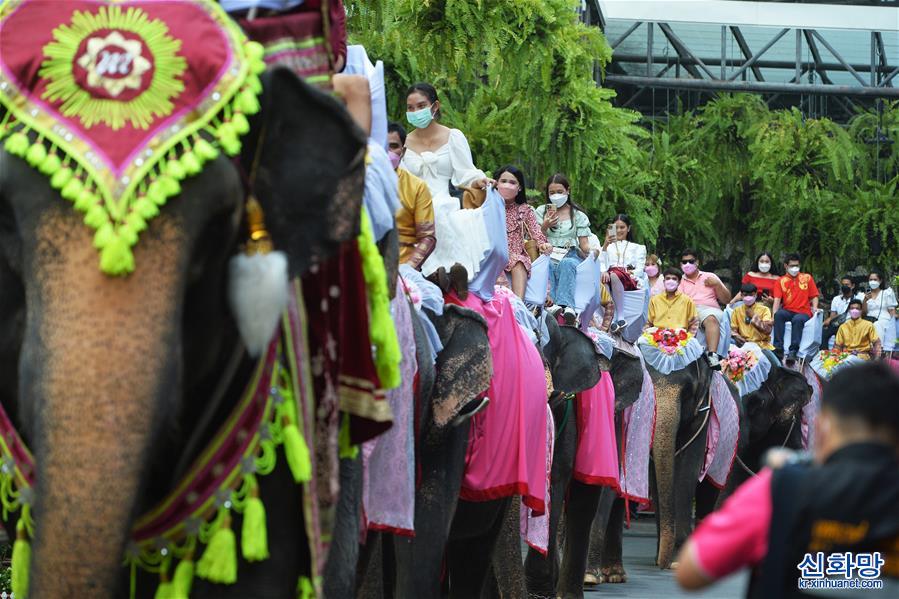 （国际）（4）泰国芭提雅：象背上的婚礼