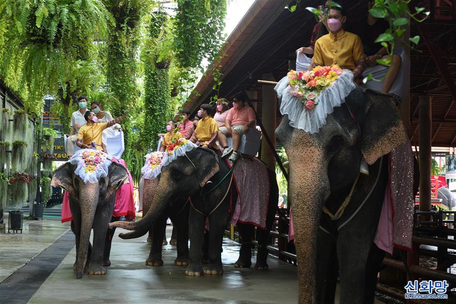 （国际）（3）泰国芭提雅：象背上的婚礼