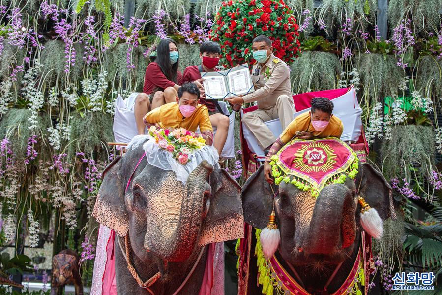 （国际）（6）泰国芭提雅：象背上的婚礼
