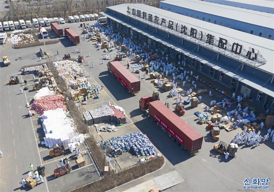（新华全媒+）（2）辽宁调运近4000吨蔬菜驰援吉林