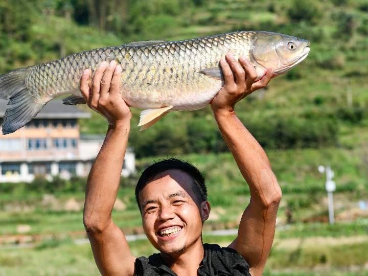 中 구이저우, '물고기 축제'로 함께 즐기는 국경절 연휴