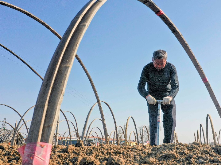 초겨울, 농번기 준비하는 中 탕산 농민들