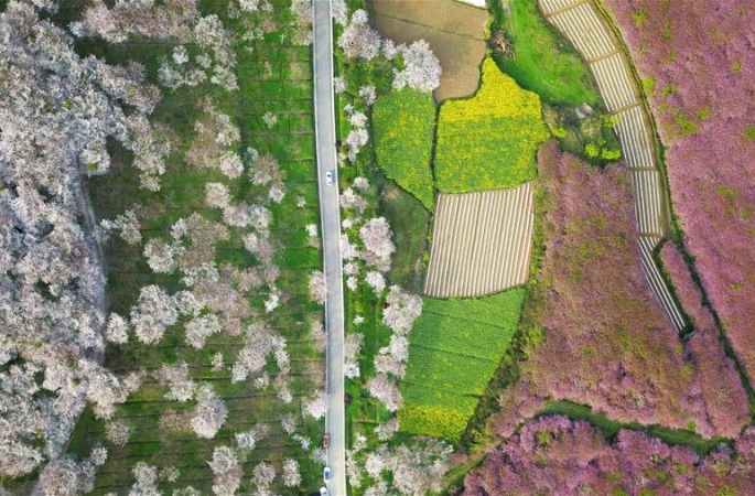 구이저우: 봄꽃길 드라이브