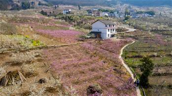 드론뷰로 감상하는 쓰촨의 아름다운 농촌 풍경