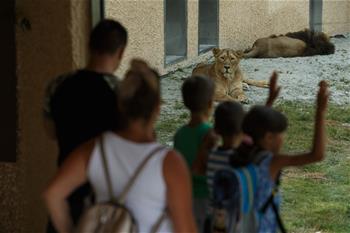 슬로베니아: 과거의 생기 회복해가는 동물원