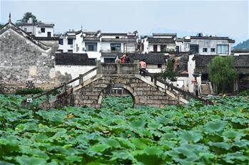 허페이-푸저우 고속철도 주변의 천 년 역사가 숨 쉬는 옛 마을