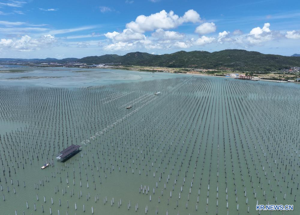 中 푸젠, 끝없이 펼쳐진 해상 태양광 패널